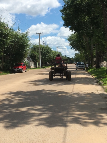 Horse-drawn carriage