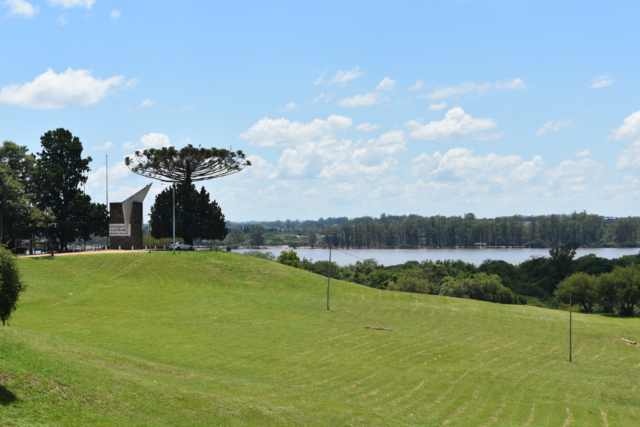 Menorah-shaped tree and view of river in Parque San Carlos