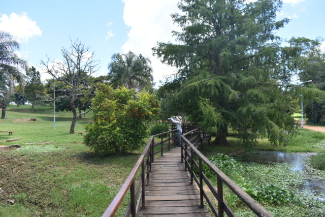 Photographing butterflies in Parque San Carlos