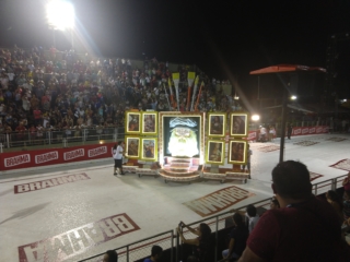 This float was basically a sail. It couldn't be controlled.