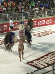 Feathers Feathers Feathers