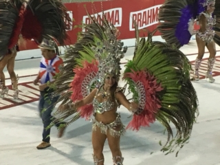 So many feathers
