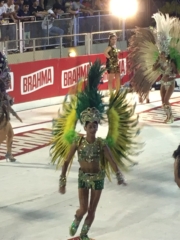 Really, feathers everywhere