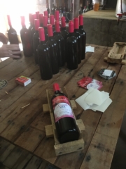 Putting on front label