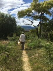 Back to the fields on day two