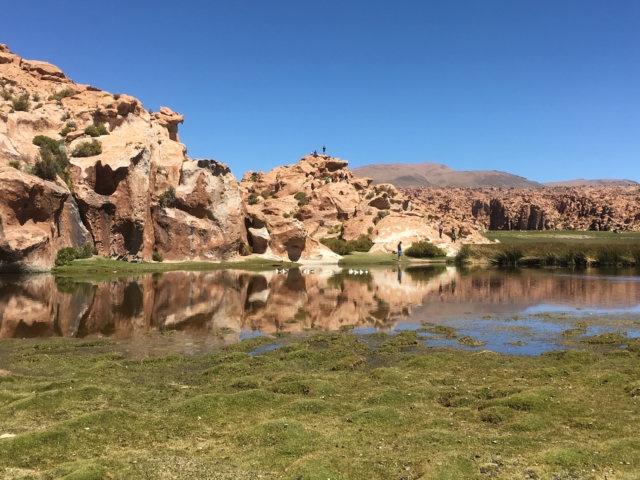 Stillness at Laguna Negra