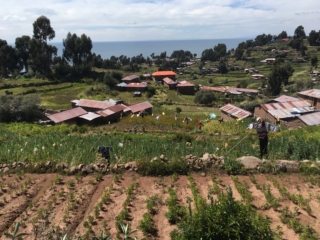One of Taquile's agricultural communities
