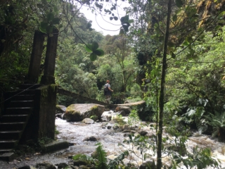 One of the seven bridges