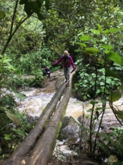 The last of the seven bridges