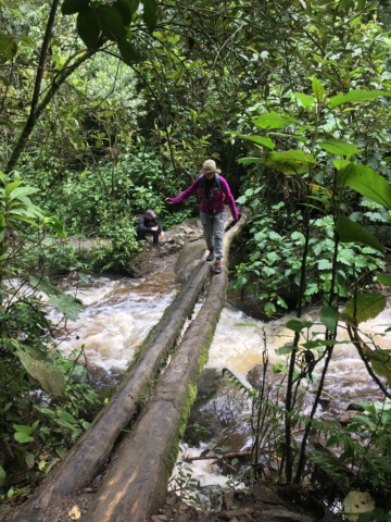 The last of the seven bridges