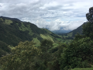 First viewpoint